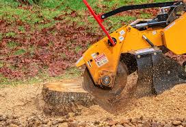 Best Lot and Land Clearing  in Green Knoll, NJ