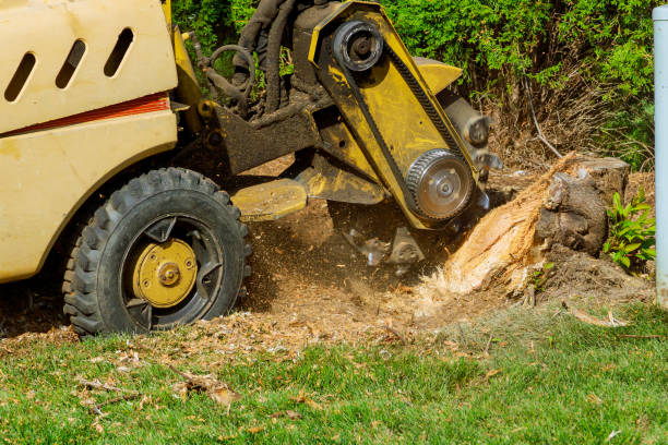 Best Lawn Grading and Leveling  in Green Knoll, NJ